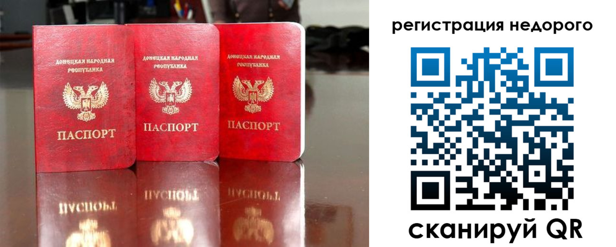 прописка законно в Кировске